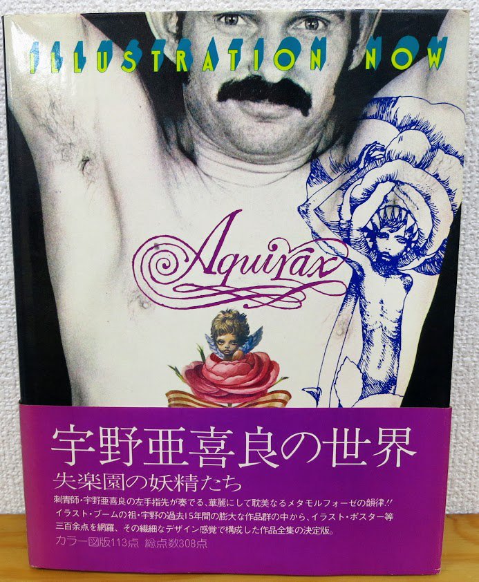 幻想系古本屋 古書ドリス 宇野亜喜良の世界 帯より 刺青師 宇野 亜喜良の左手指先が奏でる 華麗にして耽美なるメタモルフォーゼの韻津 イラスト ブームの祖 宇野の過去15年間の膨大な作品群の中から イラスト ポスター等三百余点を網羅 その繊細
