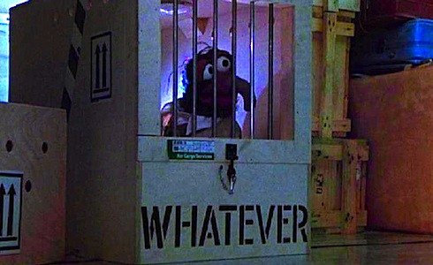 RobotJones11's tweet photo. Gender as a concept is still pretty foreign to me, but if I had to pin myself down as anything I suppose I'd be a "whatever", just like my favorite Muppet :-) https://t.co/f1HQwEz4wS