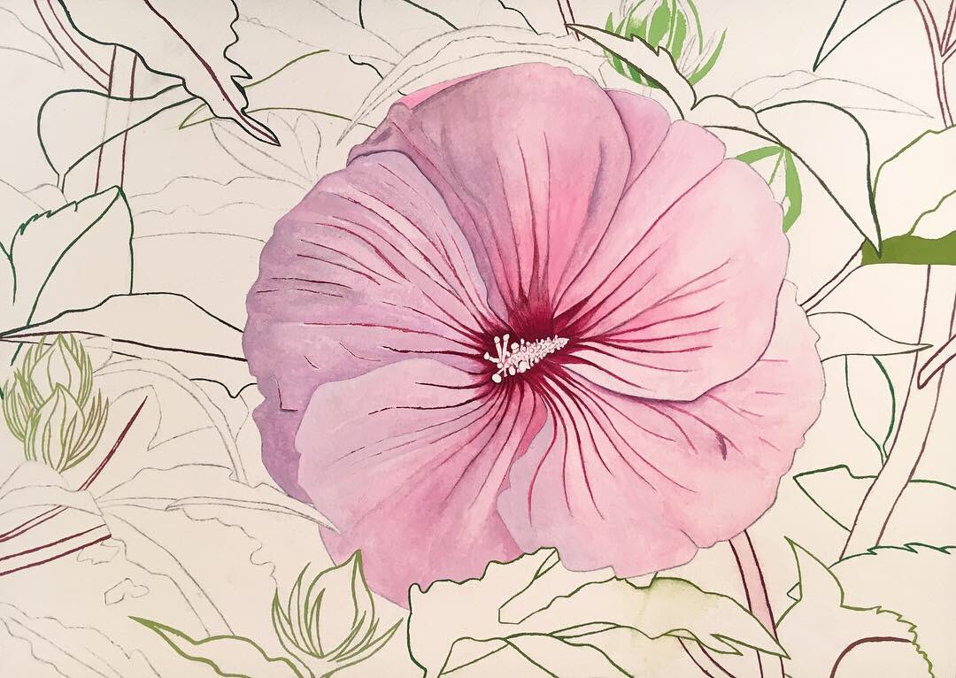 lizacnjohnson's tweet image. It has been an especially tough week so far for making time... BUT I keep reminding myself that #slowprogressisstillprogress 🌺#workinprogress #hibiscuspainting #rosemallow #gouache #botanicalart #womeninart #womenartists #womenwhopaint #womensart #femalepainters #createeveryday