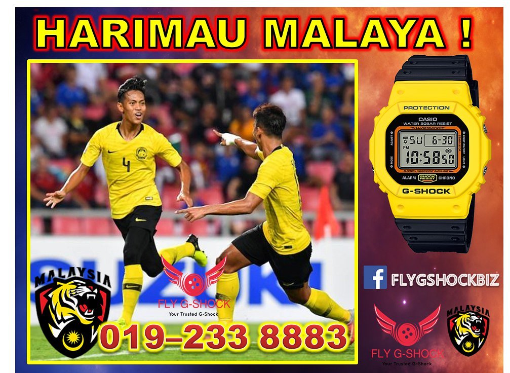 flygshock tweet media