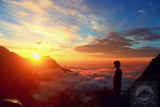 Thomask90252299's tweet photo. Munnar is beautiful than ever.....

#Munnar #ThuvanamWaterfalls 
 #Keralatourism #visitkerala #visitmunnar #hillstation #munnarresorts #honeymoonhideout #instagood #neelakurinji #beautifulmunnar #Keralatourism #honeymoon  #munnarresorts  #exploremunnar #mdm #comeoutandplay https://t.co/O7VhGmlOU9