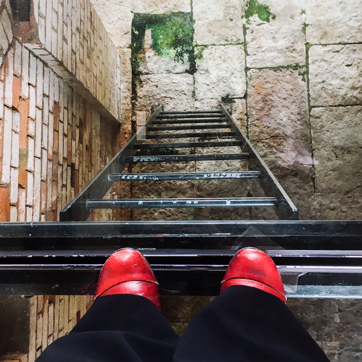 kylastephan's tweet photo. Standing on top of a glass ceiling. Touring heritage at Old Government House @QUT with the Queensland Local Studies Group. #qldlibraries #localhistory #brisbanehistory https://t.co/RQeZDh1TOa