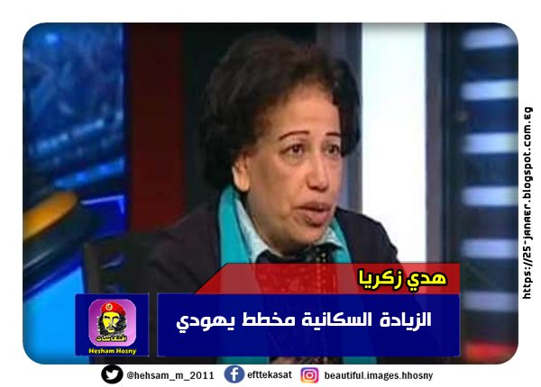 هدي زكريا أستاذ علم الاجتماع السياسي، الزيادة السكانية مخطط يهودي