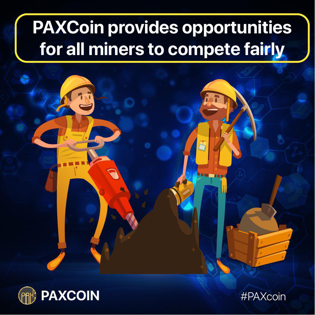 Pax__Coin's tweet photo. PAXCoin grants fair opportunities to all miners , Allowing more participants to benefit from mining. This will create a healthy PAXCoin ecosystem and allow more users to participate in mining. #PAXCOIN #blockchain #currency https://t.co/vd1VZR6oGH