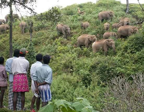 vineeth76's tweet photo. Munnar is beautiful than ever.....

#Munnar #ThuvanamWaterfalls 
 #Keralatourism #visitkerala #visitmunnar #hillstation #munnarresorts #honeymoonhideout #instagood #neelakurinji #beautifulmunnar #Keralatourism #honeymoon  #munnarresorts  #exploremunnar #mdm https://t.co/ztzoKJlHQ8