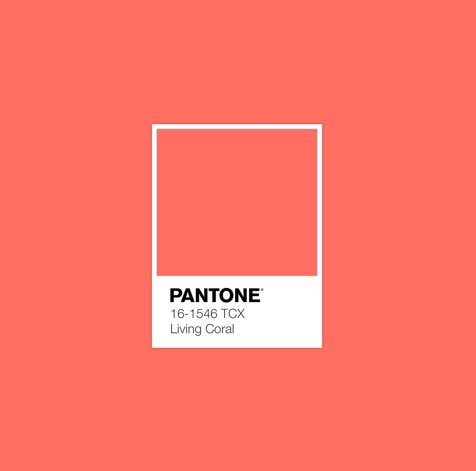 PAAMPOMAQ's tweet photo. สี Pantone ประจำปี 2019 น่ารักจัง ✨ https://t.co/T7W7oxevE7