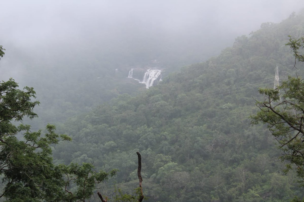 Thomask90252299's tweet photo. #Munnar #ThuvanamWaterfalls 
 #Keralatourism #visitkerala #visitmunnar #hillstation #munnarresorts #honeymoonhideout #instagood #neelakurinji #beautifulmunnar #Keralatourism #honeymoon  #munnarresorts  #exploremunnar #mdm #comeoutandplay https://t.co/7znYBaD4HW