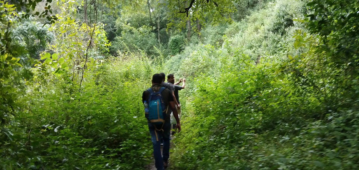 mdmmunnar's tweet photo. Walk to nature.... Thoovanam water falls...... Munnar is beautiful than ever.....

#Munnar #ThuvanamWaterfalls 
 #Keralatourism #visitkerala #visitmunnar #hillstation #munnarresorts #honeymoonhideout #instagood #neelakurinji #beautifulmunnar #Keralatourism https://t.co/pnnHdeytbr