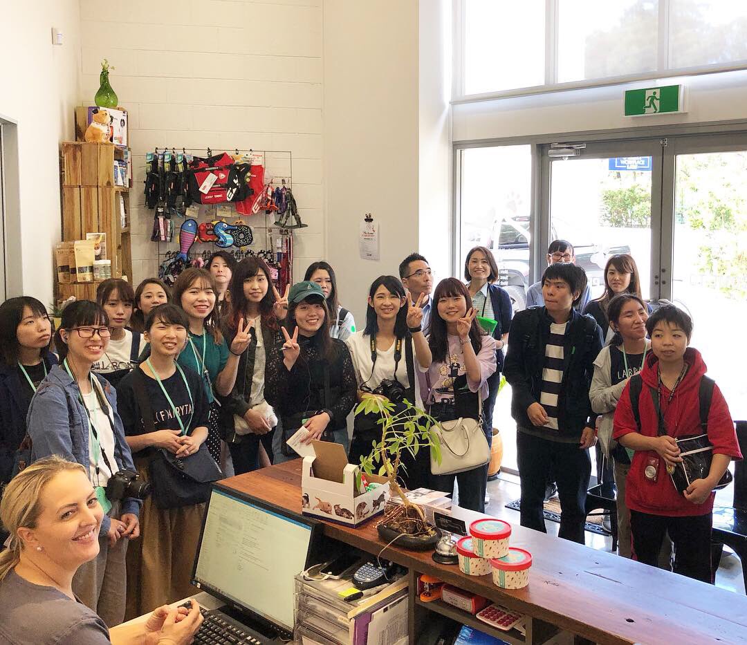 We had some international visitors today at Pet Wellness Centre! 🇯🇵😃 #globalwellness 😉

#morethanjustavet #petwellness #humanwellness #communitywellness