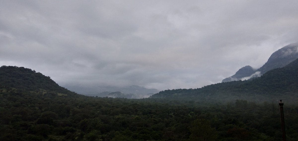mdmmunnar's tweet photo. Thoovanam..... Munnar is beautiful than ever.....

#Munnar #ThuvanamWaterfalls 
 #Keralatourism #visitkerala #visitmunnar #hillstation #munnarresorts #honeymoonhideout #instagood #neelakurinji #beautifulmunnar #Keralatourism #honeymoon  #munnarresorts  #exploremunnar #mdm https://t.co/LecCmkKhv7