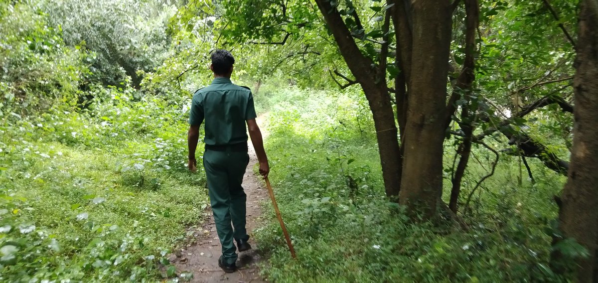 mdmmunnar's tweet photo. Forest guide leading to Thoovanam waterfall
#Munnar #ThuvanamWaterfalls 
 #Keralatourism #visitkerala #visitmunnar #hillstation #munnarresorts #honeymoonhideout #instagood #neelakurinji #beautifulmunnar #Keralatourism #honeymoon  #munnarresorts #exploremunnar #mdm #comeoutandplay https://t.co/Q4z7oWK2TQ