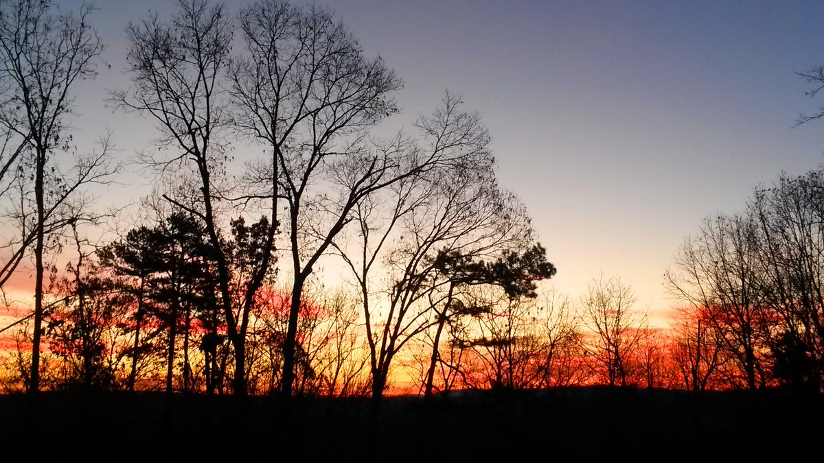 Steve Jones tweet media