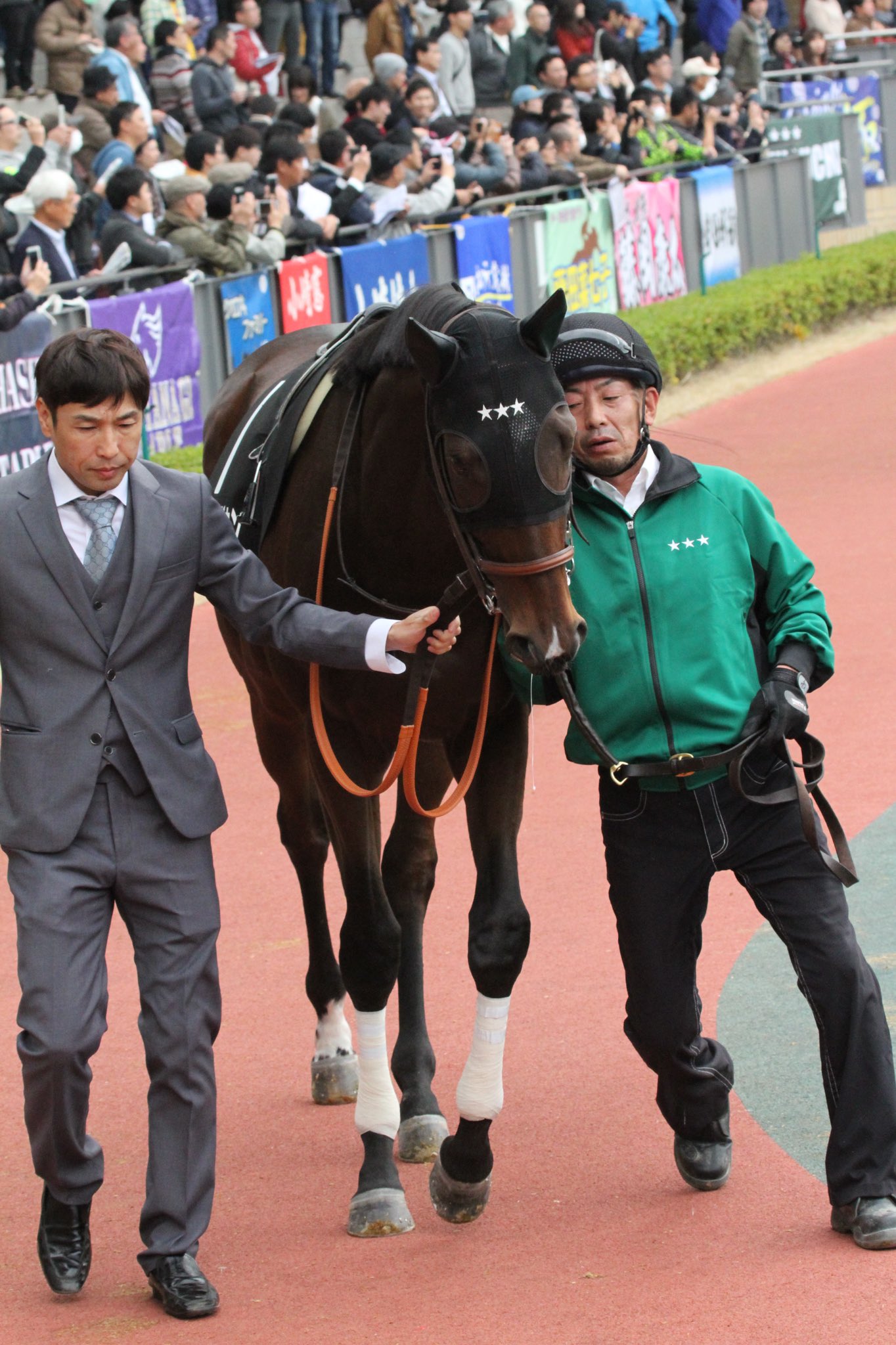 Mat On Twitter ベストタッチダウン 2018 12 1 こうやまき賞 中京競馬場 ベストタッチダウン 橋口厩舎