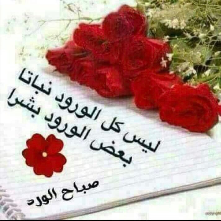 <a href="/19731969jan2008/">الهاشمي عمار المحمدي</a> @kUVHrktxhcJvdPi @nado_m7amd @zhret_a97177 <a href="/pppoooalbady/">سعد الكريزي</a> @naalsabah1 <a href="/Wail89859908/">Wail</a> <a href="/zozoaln/">zozoaln</a> @Ye7qNVgJqjAuclE <a href="/7byby_/">جاسم</a>