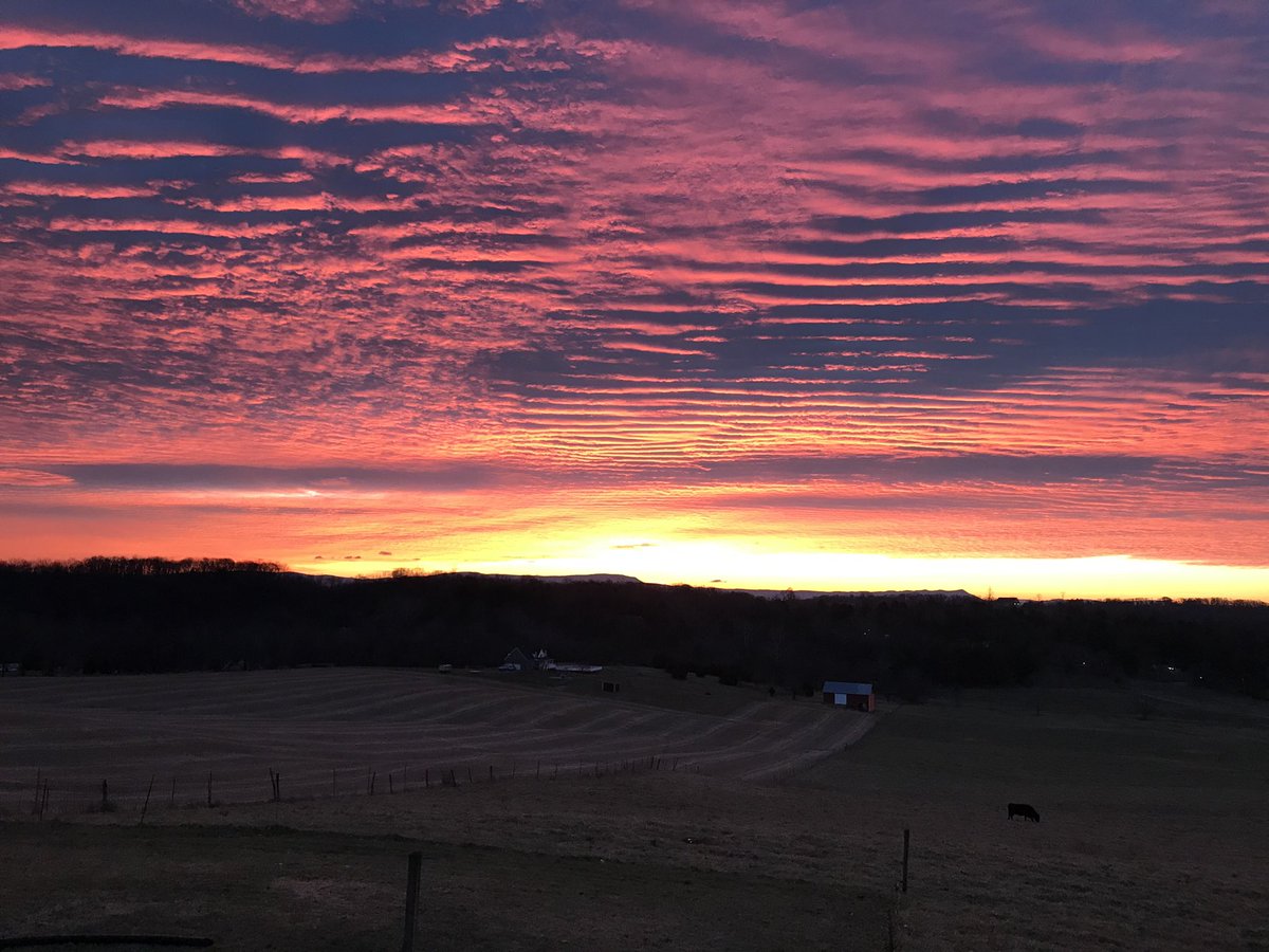 Make it a great day, Virginia FFA!