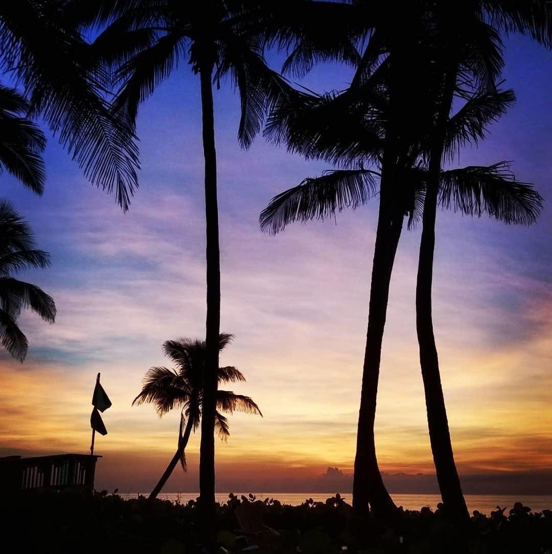 You'll never regret taking time to watch the sun rise on another beautiful Jupiter Beach day. #OnlyAtJBR
📷: sharon_ltm https://t.co/RscN9Dk4DG