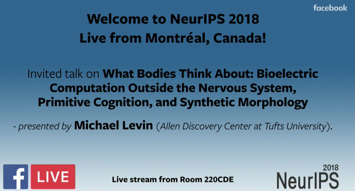 suzatweet's tweet photo. Michael Levin's mind-blowing talk on "What Bodies Think About: Bioelectric Computation Outside the Nervous System, Primitive Cognition and Synthetic Morphology" at #NeurIPS is available online https://t.co/QxzUOww7oO https://t.co/6WwrM27Tul