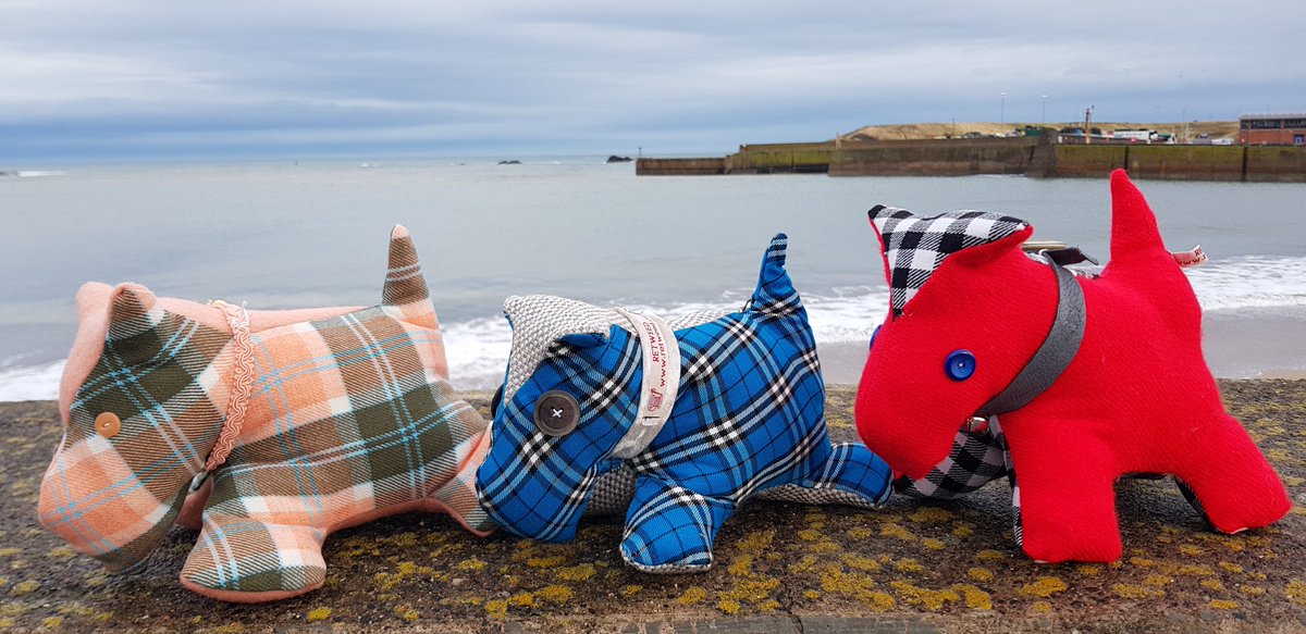 weareReTweed's tweet photo. #shoplocal this #Christmas
@weareReTweed #handmadewithlove #madeinscotland 

#shopsmall 
#support 
#SocEnt 
#business 
#handmadegifts 
#handmadechristmas https://t.co/xp9m7nhzFi