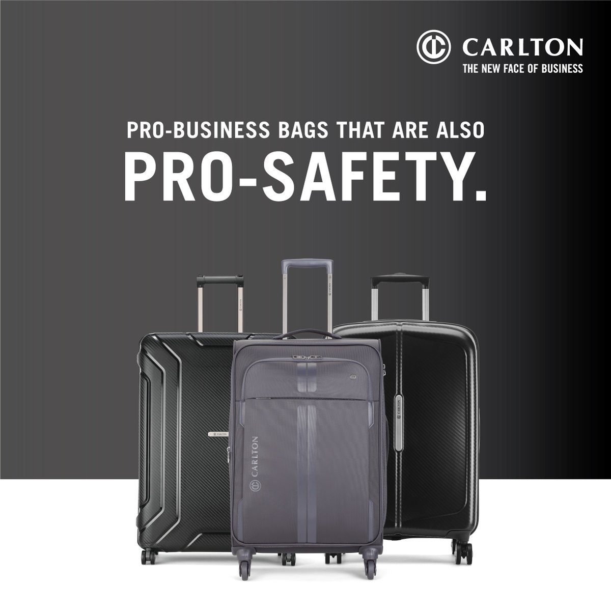 carlton crest luggage
