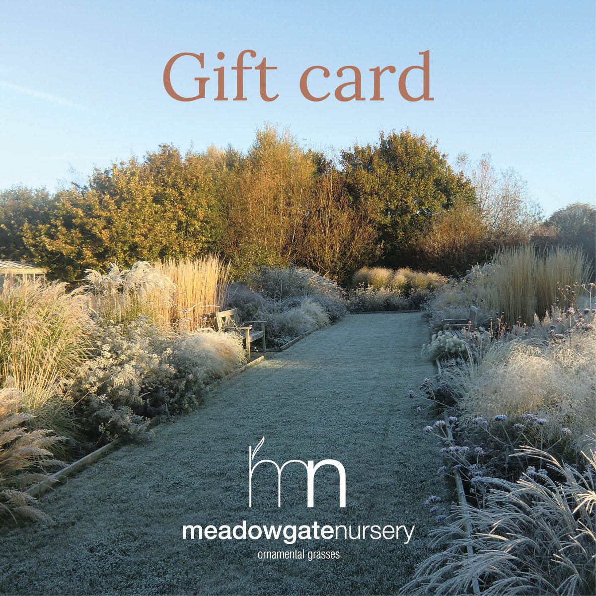 It's that time of year again! If you're struggling for Christmas gift ideas, our online Gift cards make the perfect present for the gardener in your life. Visit our website meadowgatenursery.co.uk for more details