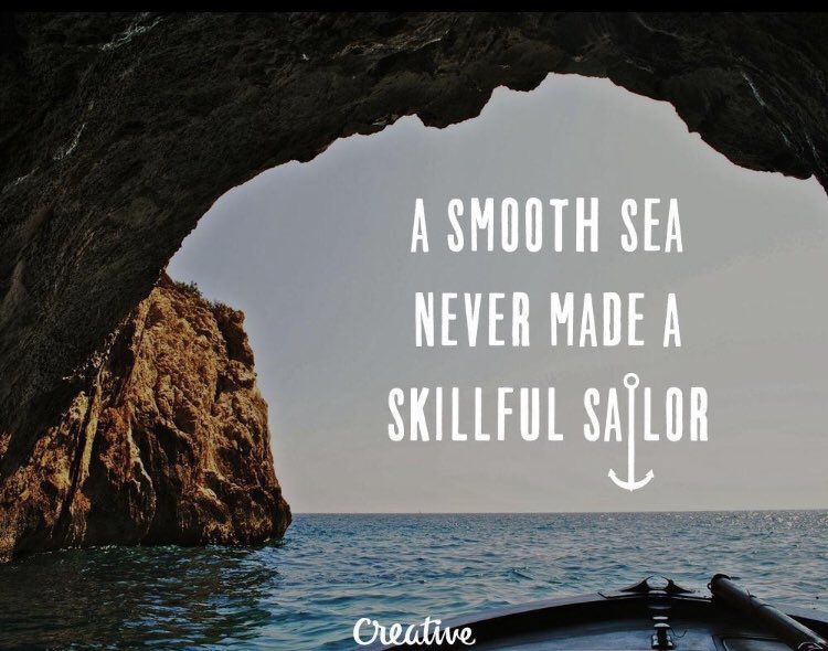 Elizabeth Wildman tweet media