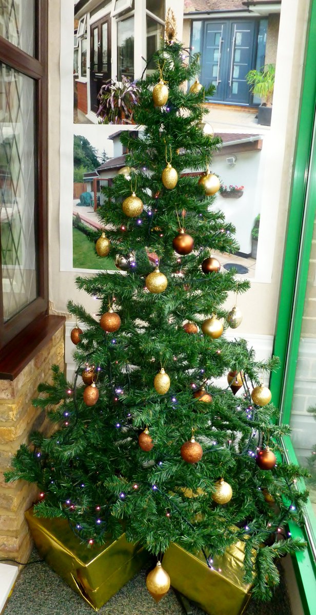windowsharrow's tweet photo. We've gone festive https://t.co/kqRkhAUNXw