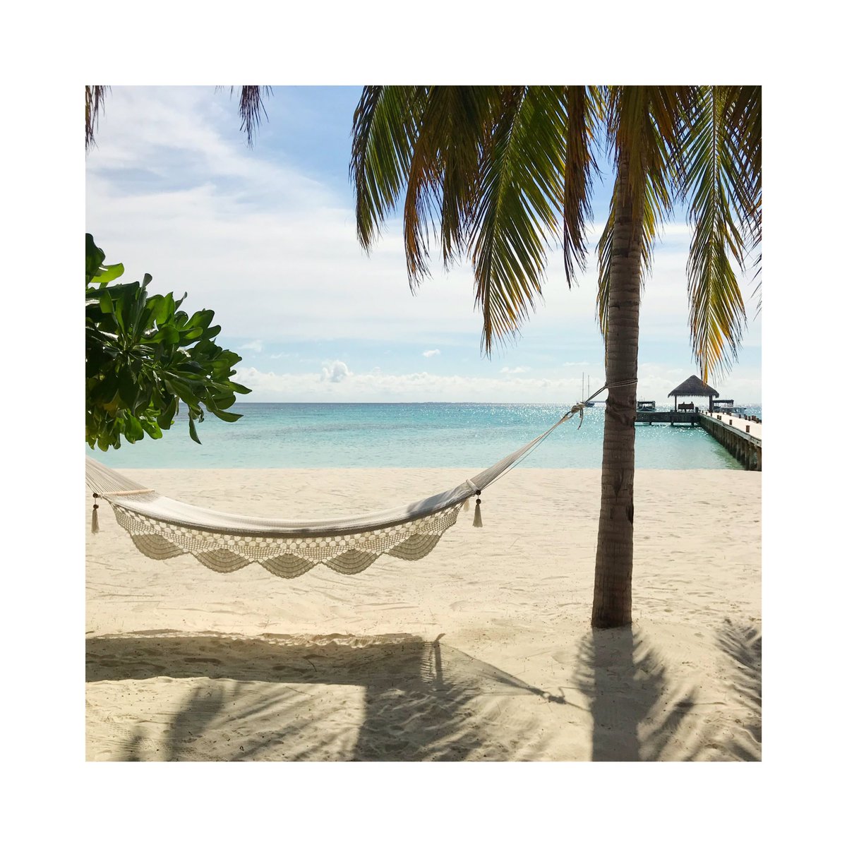 New favourite hangout 🌴☀️🏝 @Mirihi #mirihiisland #grifcogetaways