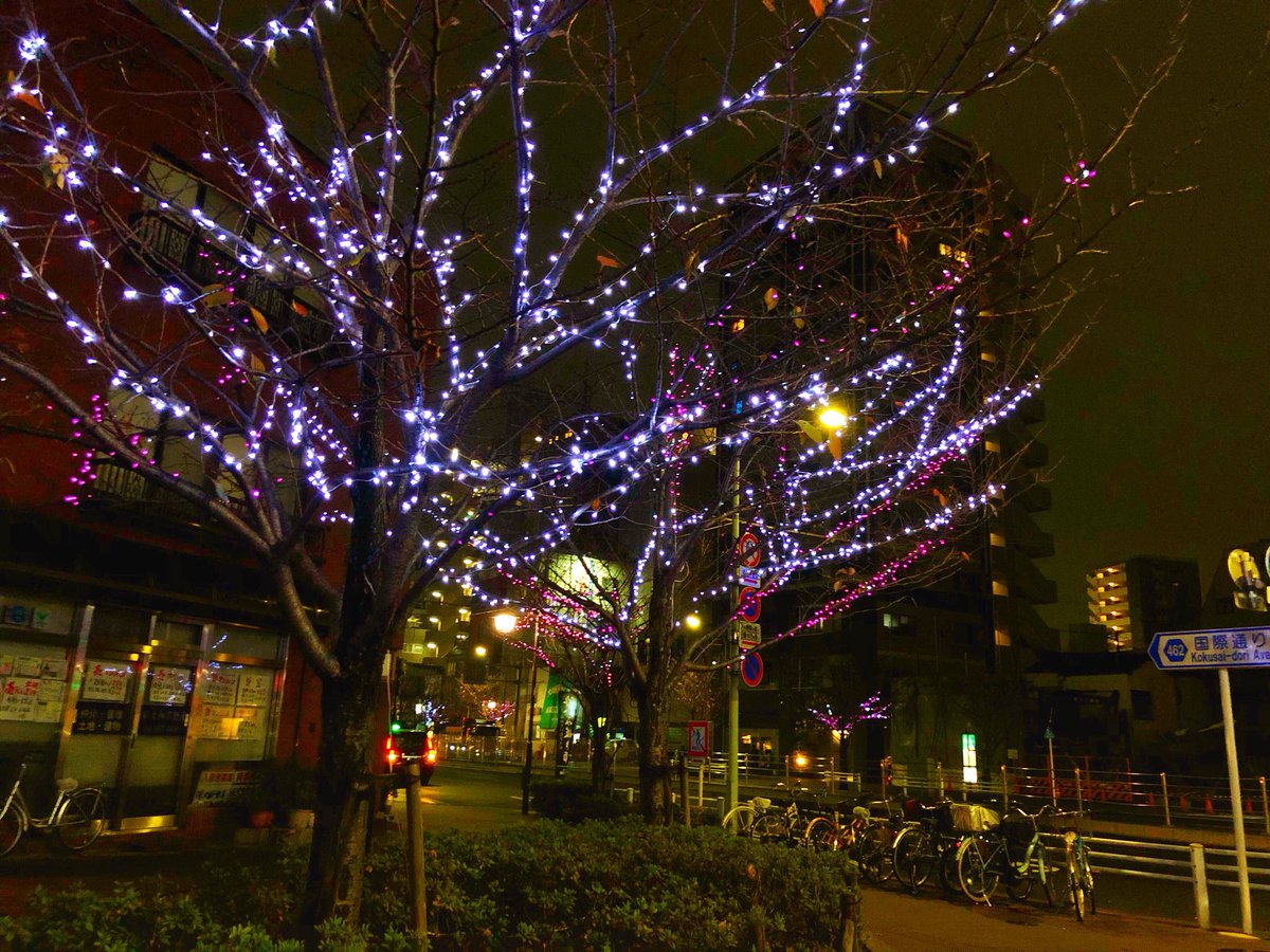 台東くん 台東くん イルミネーション第四弾 冬の一葉桜まつりイルミネーション を紹介パゴッ 来年１月１５日 火 まで奥浅草の 一葉桜並木７００メートルがイルミネーションで装飾されているパゴッ 場所は言問通り以北の国際通り 一葉桜小松橋通り3