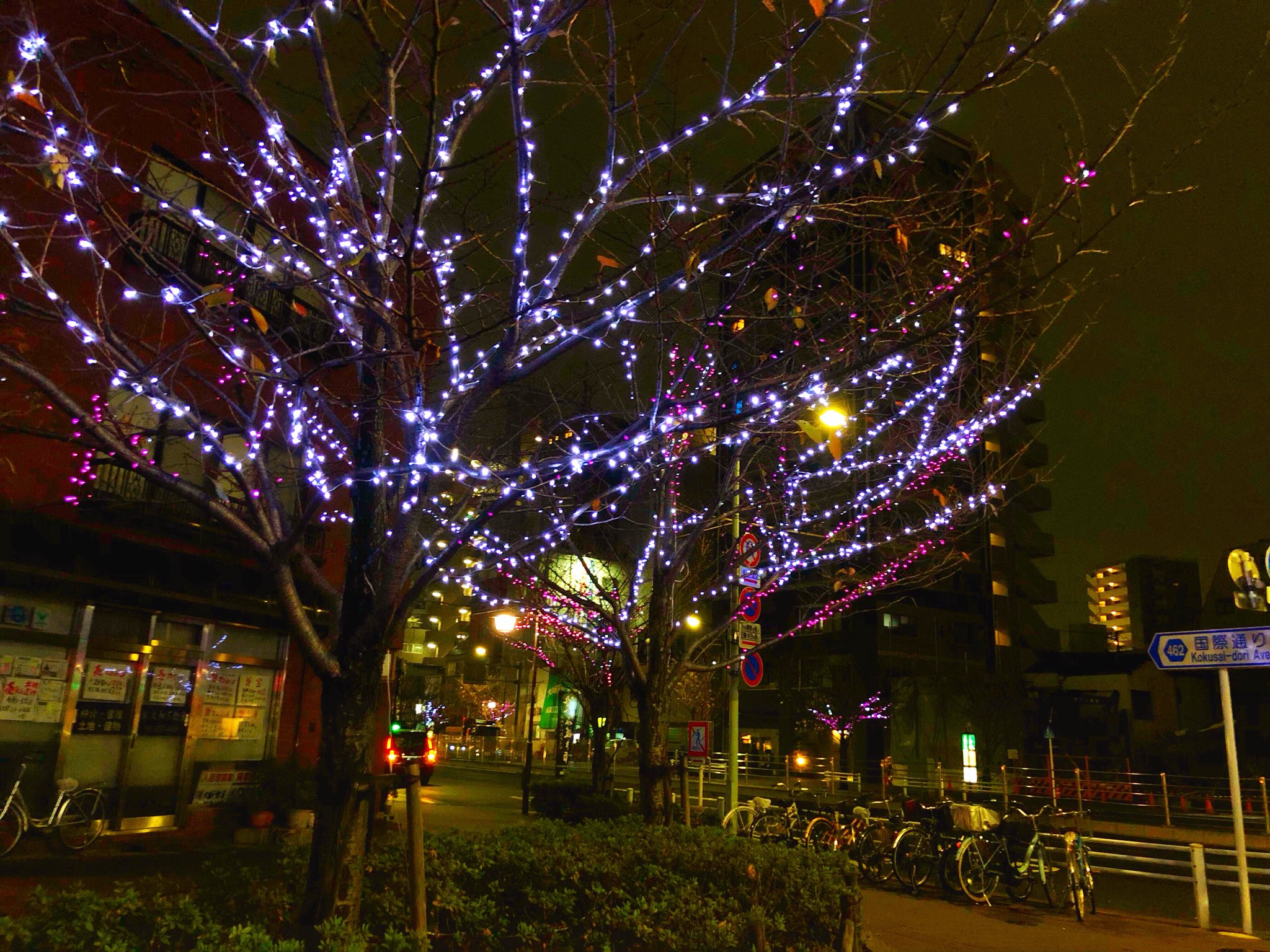 台東くん 台東くん イルミネーション第四弾 冬の一葉桜まつりイルミネーション を紹介パゴッ 来年１月１５日 火 まで奥浅草の 一葉桜並木７００メートルがイルミネーションで装飾されているパゴッ 場所は言問通り以北の国際通り 一葉桜小松橋通り3
