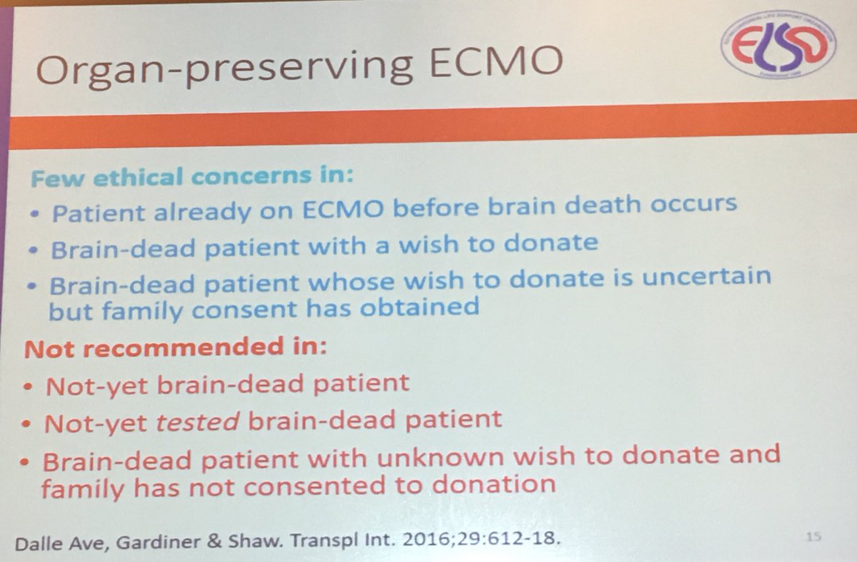 M Velia Antonini tweet media