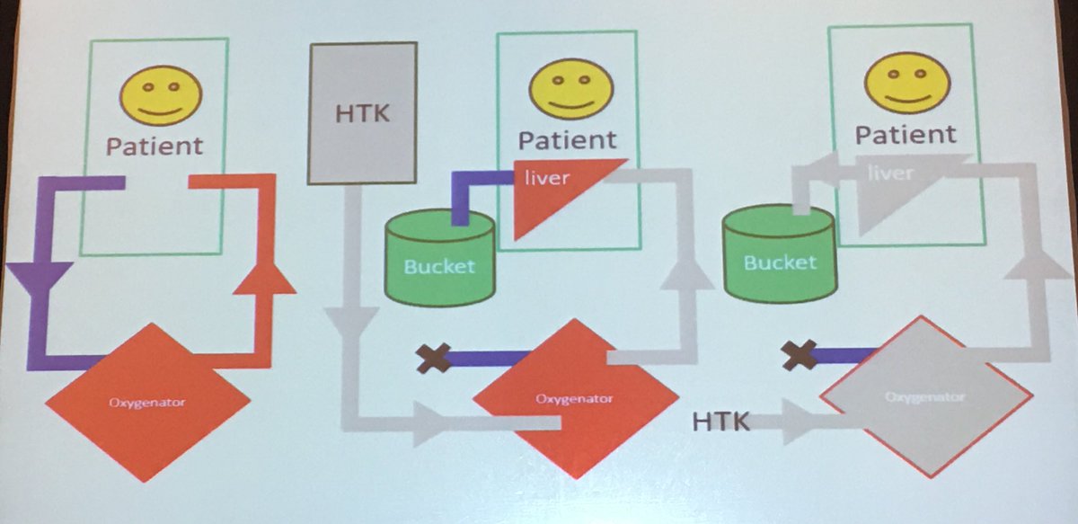 M Velia Antonini tweet media