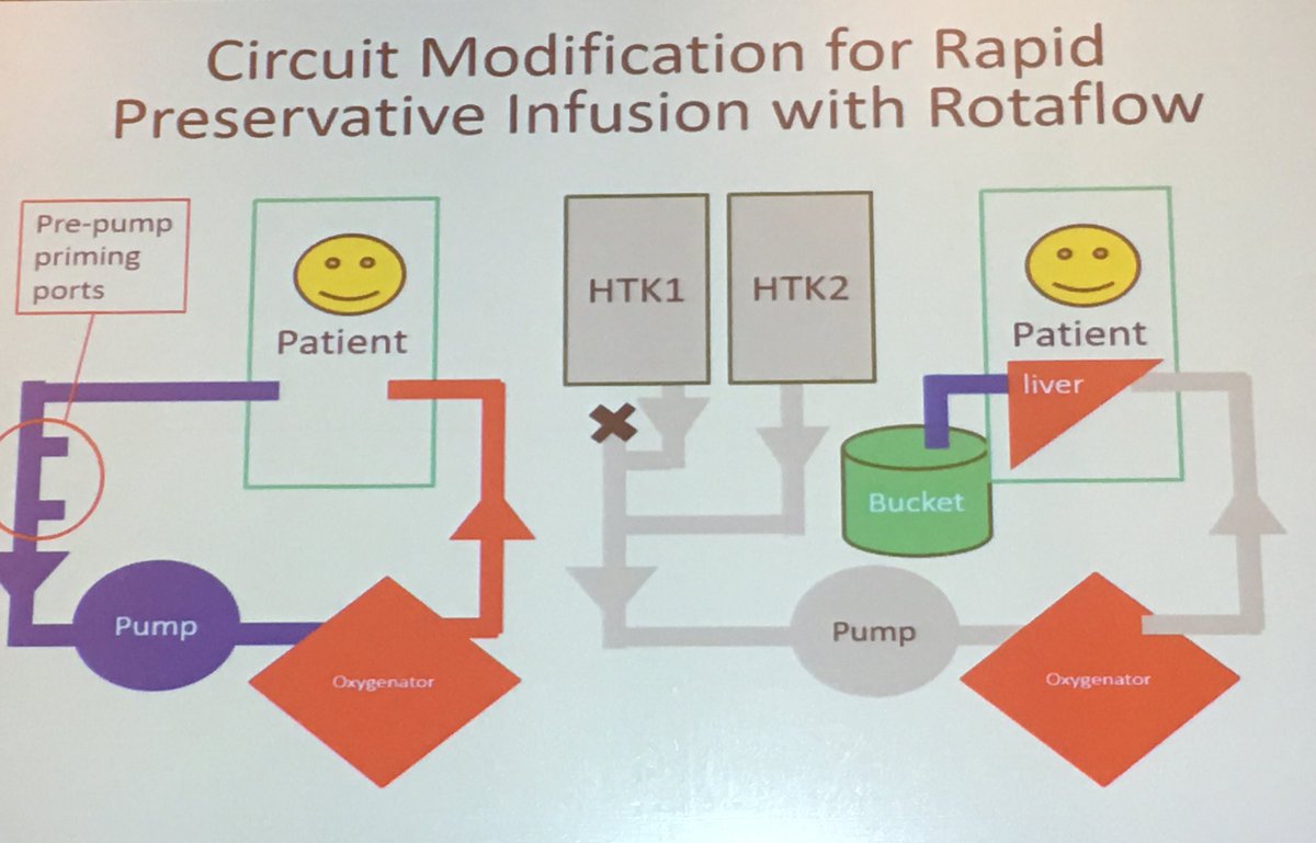 M Velia Antonini tweet media