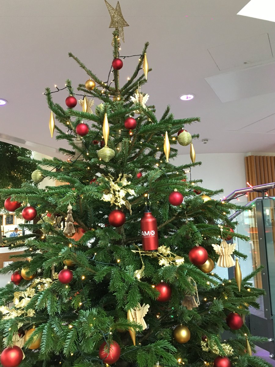 AMXSolutionsLtd's tweet photo. Christmas has arrived at the AMX offices!
Can you spot the unique tree decoration?
#assetmangaement #anyasset #anywhere https://t.co/LcYoDvRRY3