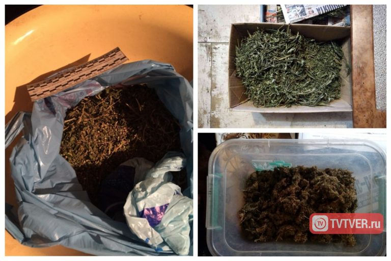 Что будет если хранил марихуану Что будет если хранил марихуану музыка из видео про наркотики