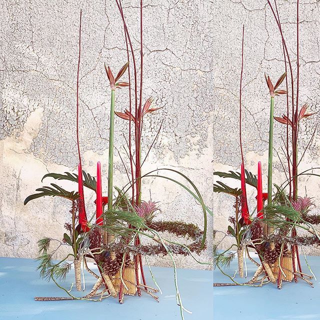 gregorlersch's tweet photo. Christmas -Arrangement in Gordes Provence #floriform #composition #floraldesign #advent #flowerdesigner @didiergilles. President of the School # https://t.co/jRkaAtPIYX https://t.co/YAAiPWF6Pl