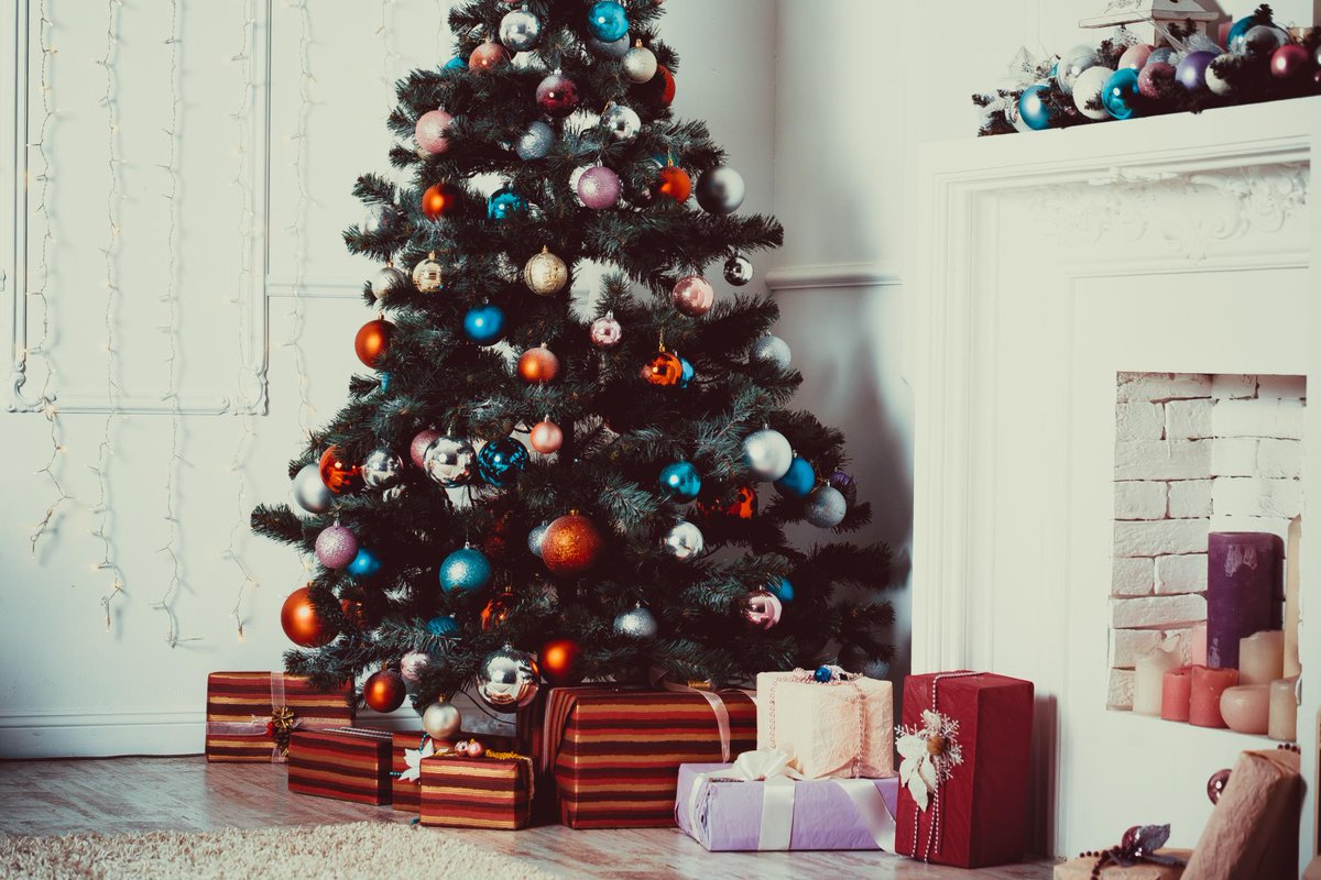 De pro’s en cons van een echte kerstboom dlvr.it/Qsy9K8