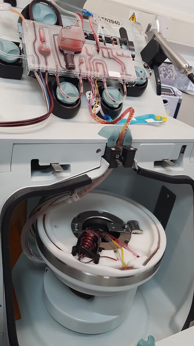 Yesterday, my brother in law gave his 75th donation of platelets! 
Without people like James, my sister wouldn’t be here today and I wouldn’t have the pleasure of heading to the swimming pool to teach my niece to swim. I think it’s about time I join in <a href="/GiveBloodNHS/">NHS Blood Donation 🩸🩹</a> ❤️