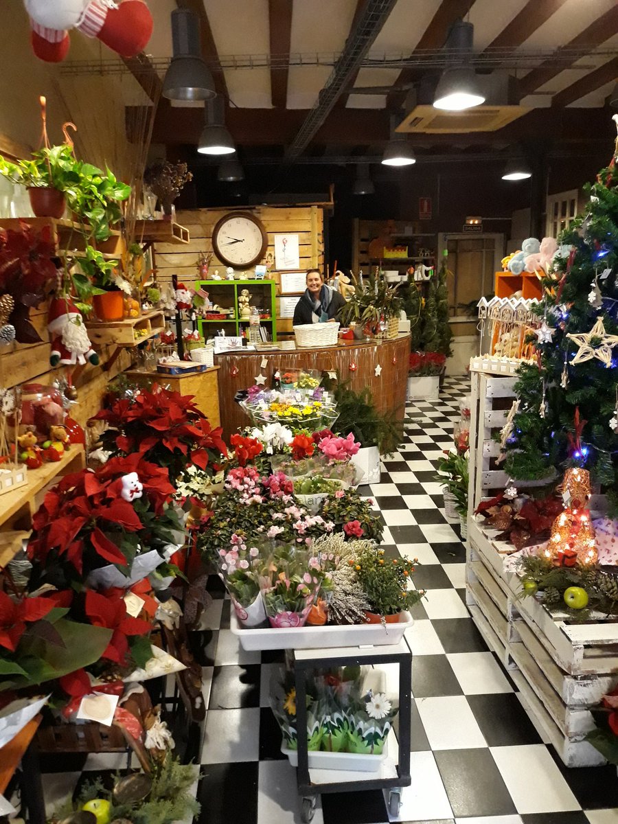 arrels_flors's tweet photo. Ja tenim obert!! Avui fins les 13:30 h. ☺☺ ya tenemos abierto, hoy hasta las 13:30 h.🙂🙂
#olesa #OlesadeMontserrat #baixllobregat #floristeria #nadal #Navidad #ponseties #ponsetias #ramodeflores #ramdeflors #flors #flores #centrofloral #ramodenovia #ramdenuvia #decoracion https://t.co/2QaHOwQ73V