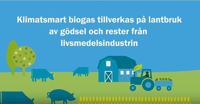 Visste du att världens bästa fordonsbränsle produceras av gödsel och avfall i Fyrbodal? Här har antalet biogasmackar nästan dubblerats under 2018, så nu kan ännu fler tanka klimatsmart och närproducerad biogas. youtu.be/2UWRoiZOjOo
