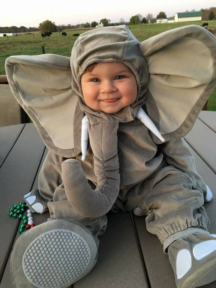 Beddinginn's tweet photo. Can you imagine how cute your baby would be like this.😆
See more>>https://t.co/AdK0LqF9xU
#costume #baby https://t.co/LCu7hhmLiK