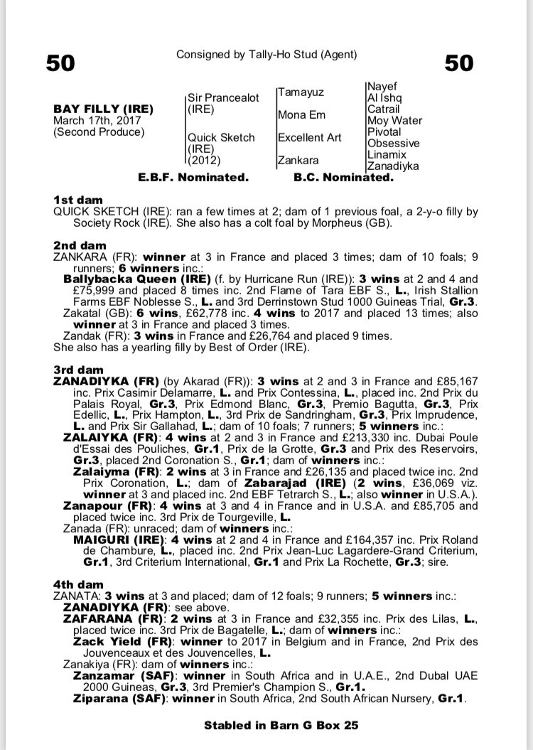 PTRacingLtd's tweet photo. Still looking for the perfect Christmas present? 🎁🏇🏼
Last shares available in our two fillies by Mayson &amp; Sir Prancelot with @GayKelleway!
Get in touch for more details!
Info@pt-racing.co.uk
#GetInvolved
#FunAffordableOwnership https://t.co/XulSphKqJS