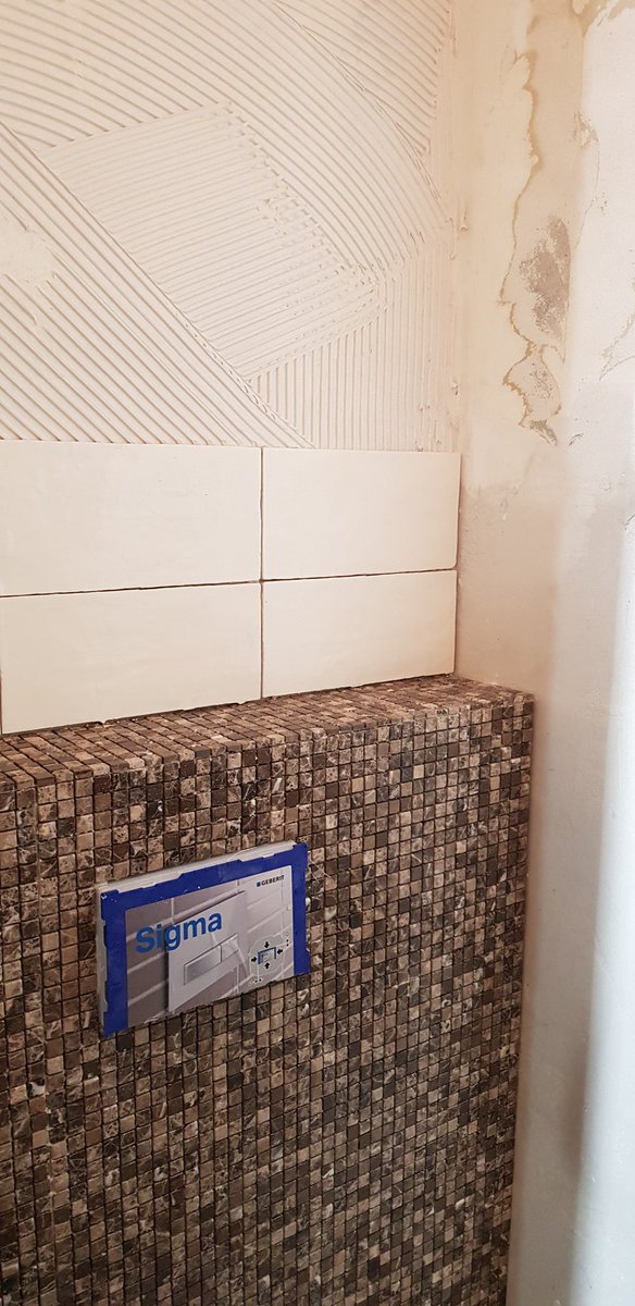 GeanloBM's tweet photo. Weer eens een toilet renovatie #tegelsplakken https://t.co/Xso8MxsjWT