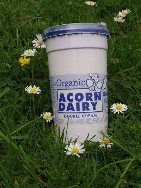 burtreepuds's tweet photo. I would like my pudding served with very special cream...……. @AC0RNDAIRY #Organic #PerfectCombinations #Homemade https://t.co/qPOPVSv91V