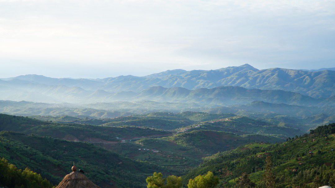 AlineSanny's tweet photo. There is so much beauty in @RutsiroDistrict, located in @RwandaWest, to the extent that it was hard for me to leave without taking some few landscape shots.

Just #VisitRwanda and see the amazing thousand hills we talk about 😉

My #Rwanda💕

#RwOT https://t.co/hDg0eiOIGx