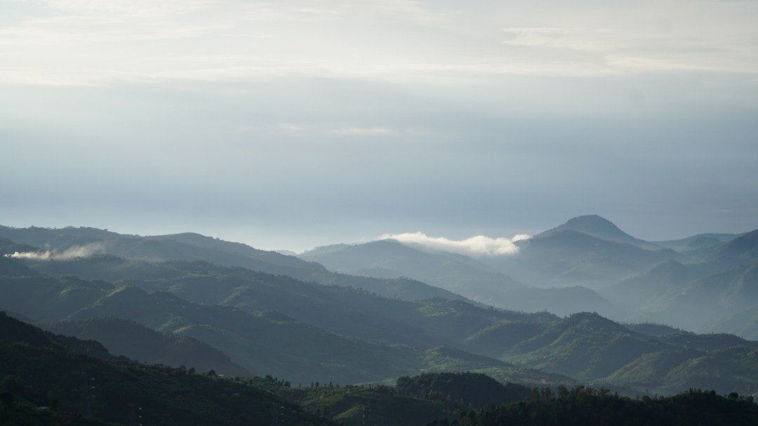 AlineSanny's tweet photo. There is so much beauty in @RutsiroDistrict, located in @RwandaWest, to the extent that it was hard for me to leave without taking some few landscape shots.

Just #VisitRwanda and see the amazing thousand hills we talk about 😉

My #Rwanda💕

#RwOT https://t.co/hDg0eiOIGx