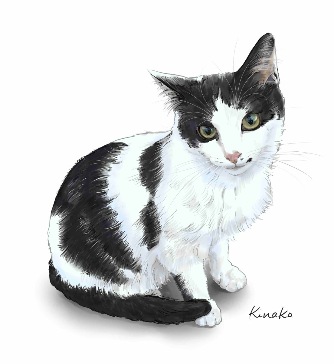 O Xrhsths きなこ 猫の絵を描いています Sto Twitter 河原の野良猫シリーズです 今年生まれた 子猫のアヤンです 美猫さんです 元気で丈夫に育ってほしいです 猫絵 Cat Drawing 猫イラスト 猫画 野良猫