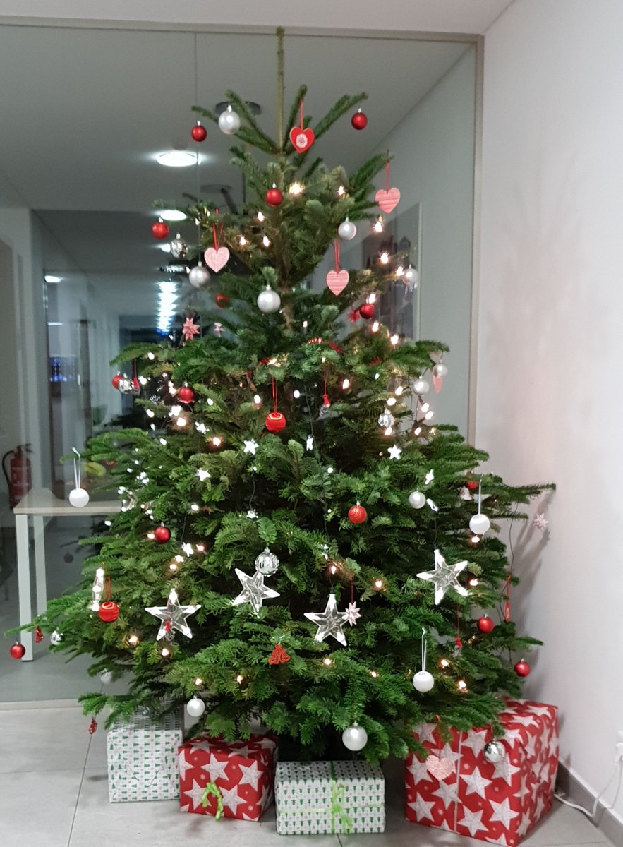 DTACKGmbH's tweet photo. Passend zum Nikolaus steht auch unser Weihnachtsbaum schon 🎄 Wir wünschen allen einen schönen Nikolaustag und eine besinnliche Adventszeit 😊 https://t.co/eBdZXRZjIs
