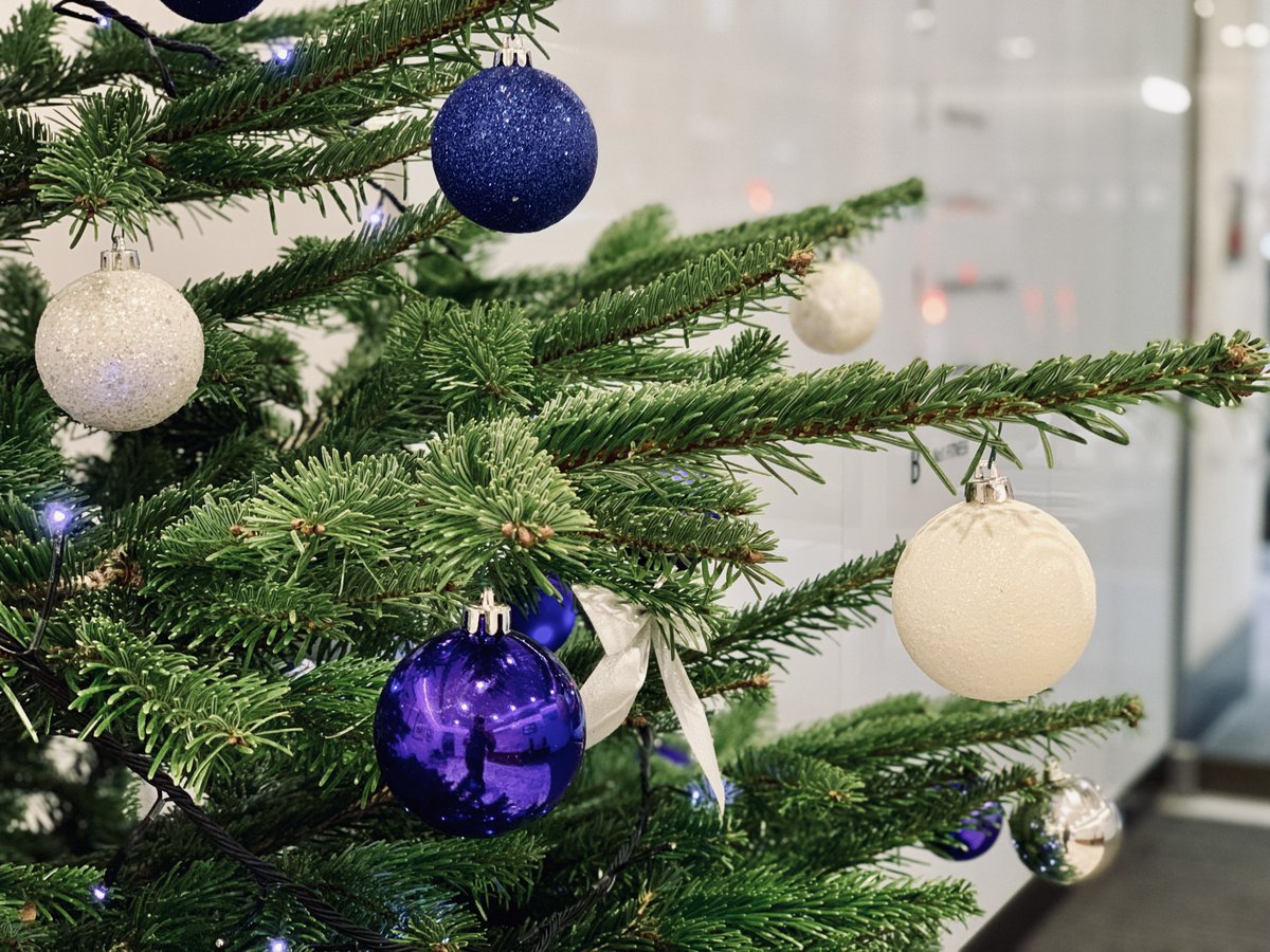 unitedoutcomes's tweet photo. 🎵 It’s beginning to look a lot like Christmas 🎄 (in the UO office) 🎶 https://t.co/S20JNIe3YC