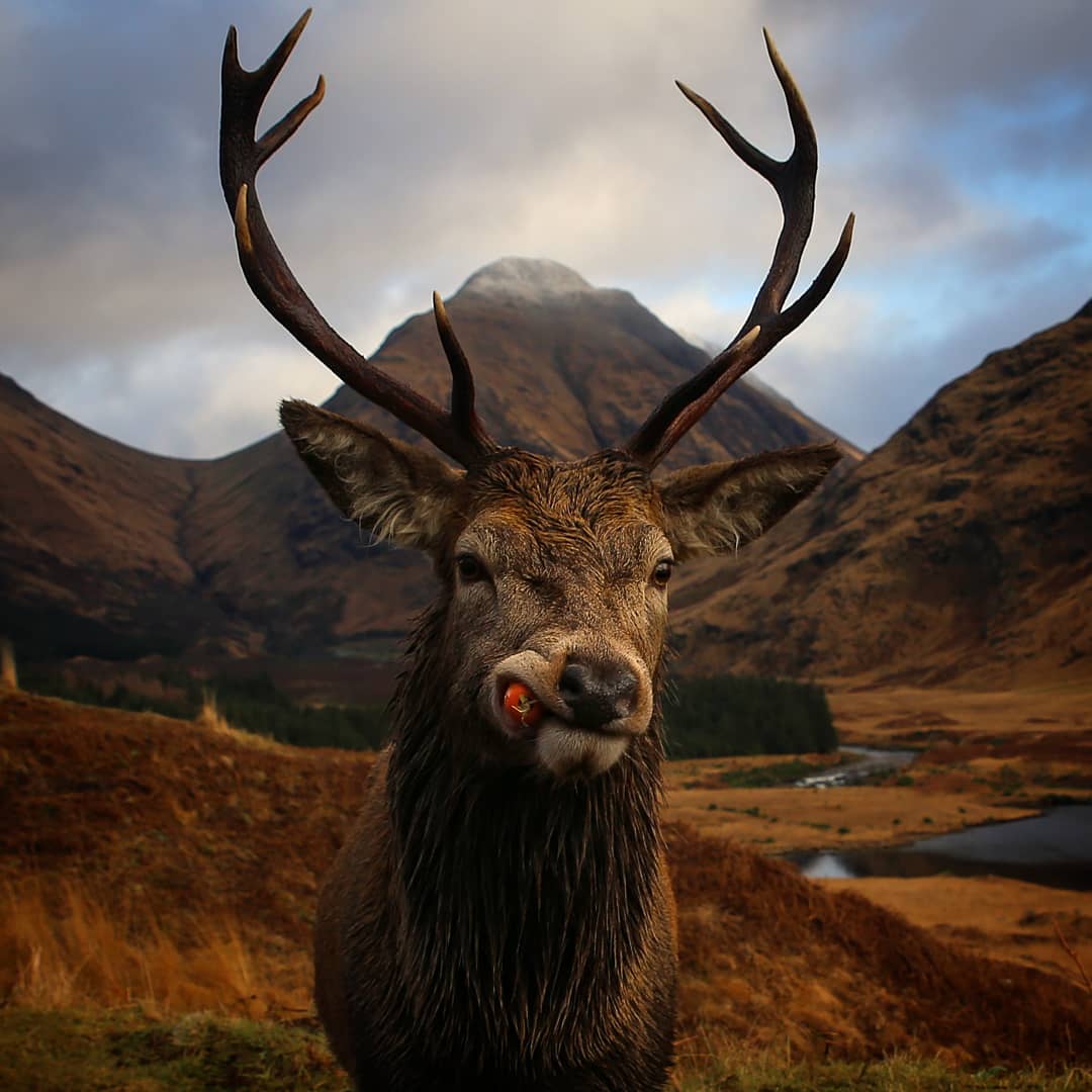 Benjamin Ward 🌱 tweet media