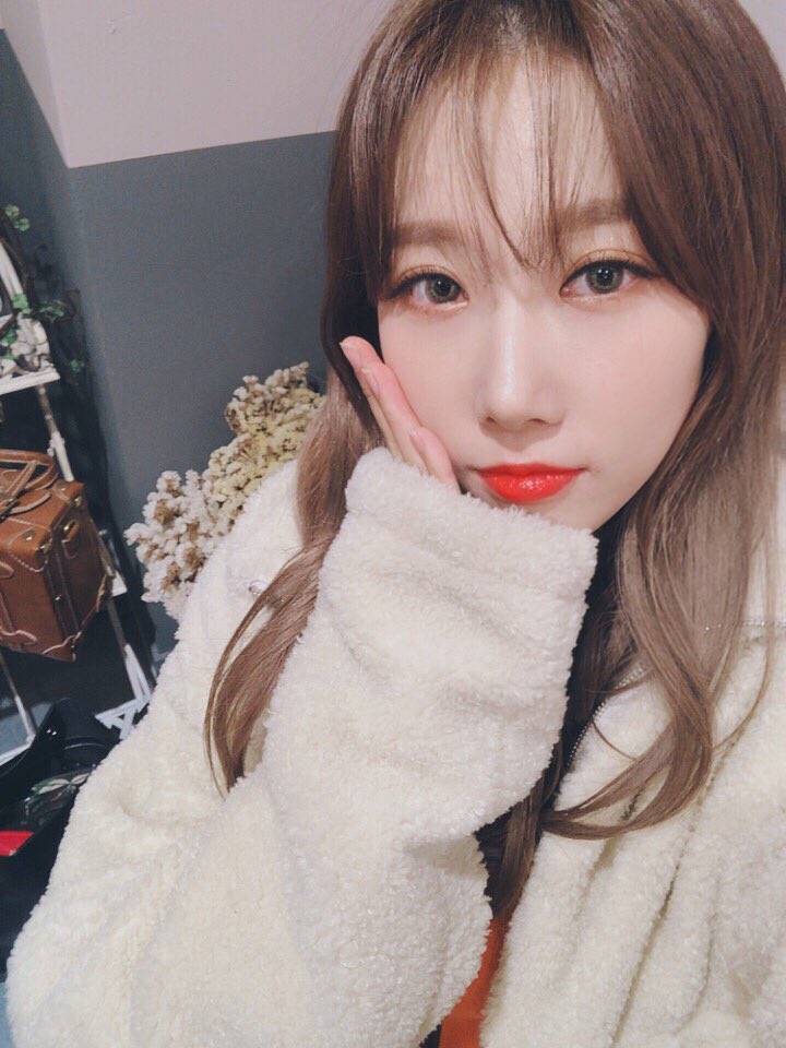 hf_dreamcatcher tweet picture